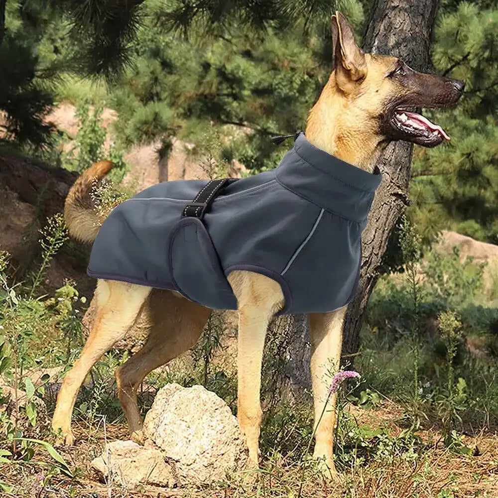Petopia RainShield Winter Jacket