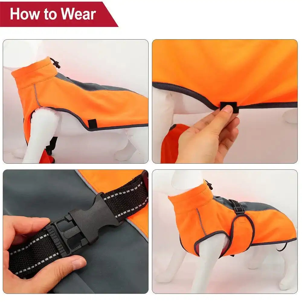 Petopia RainShield Winter Jacket