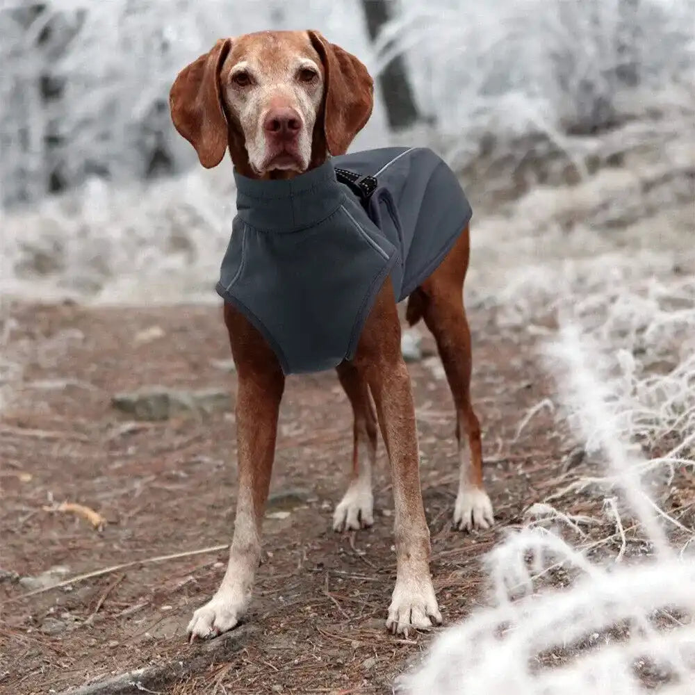 Petopia RainShield Winter Jacket
